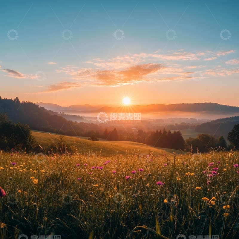 高清大图下载【趣麦麦图】日出山野，花海晨光