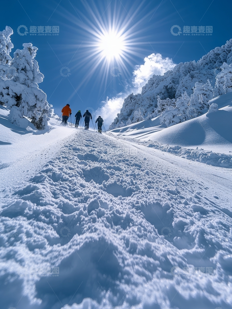 高清大图下载【趣麦麦图】雪地漫步：冬日阳光下的四人行
