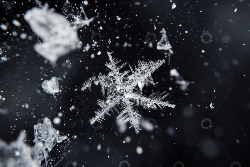 高清大图下载【趣麦麦图】雪花结晶的微观特写