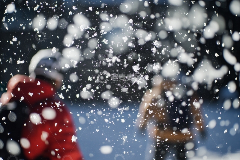 高清大图下载【趣麦麦图】雪中嬉戏，欢乐瞬间