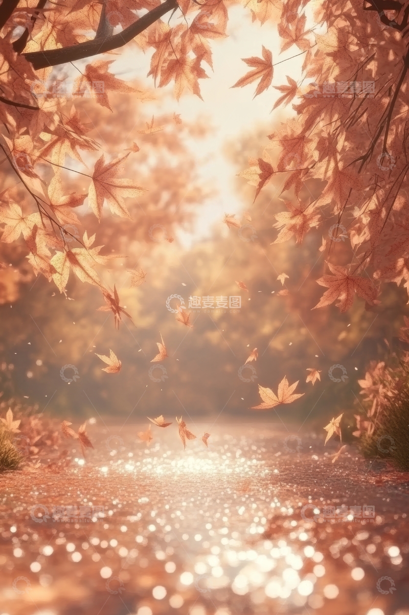 高清大图下载【趣麦麦图】秋日阳光下的落叶小径