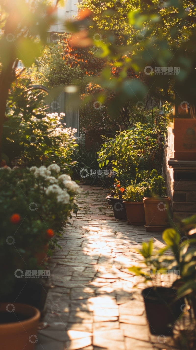 高清大图下载【趣麦麦图】阳光洒落的庭院小径