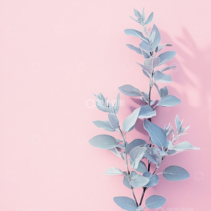 高清大图下载【趣麦麦图】粉色背景上的蓝绿色植物枝条