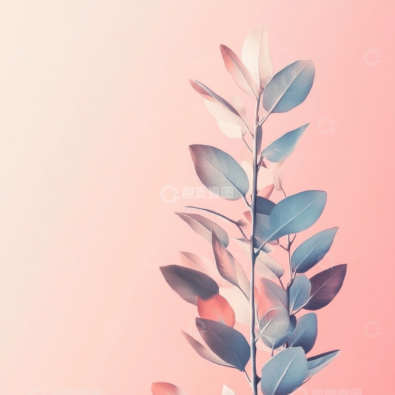 高清大图下载【趣麦麦图】柔和色调的枝叶艺术插画