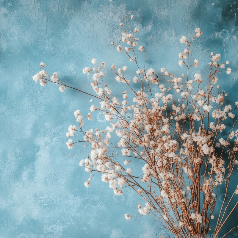 高清大图下载【趣麦麦图】干花枝条与蓝色背景