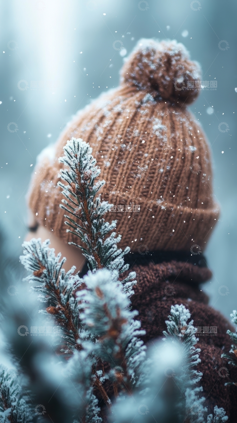 高清大图下载【趣麦麦图】冬日雪景中的人与松枝