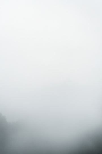 雾气弥漫的山林景象