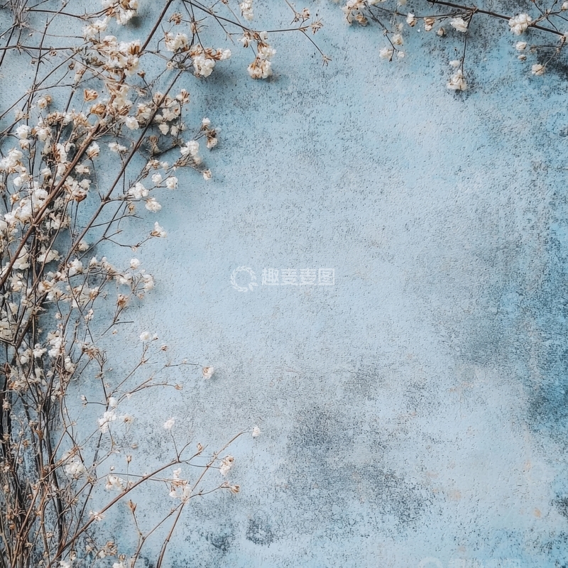 高清大图下载【趣麦麦图】干花枝条置于蓝色背景之上