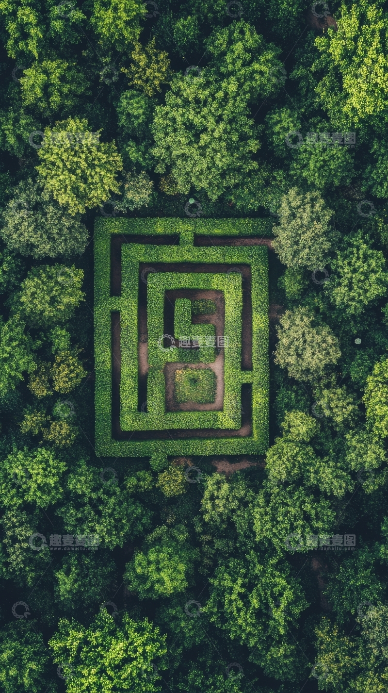 高清大图下载【趣麦麦图】俯瞰森林中的绿色迷宫