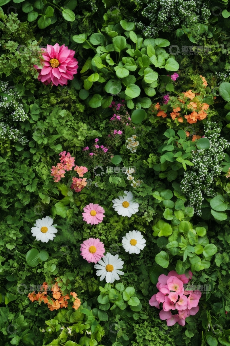 高清大图下载【趣麦麦图】多彩花卉与绿植的垂直花园