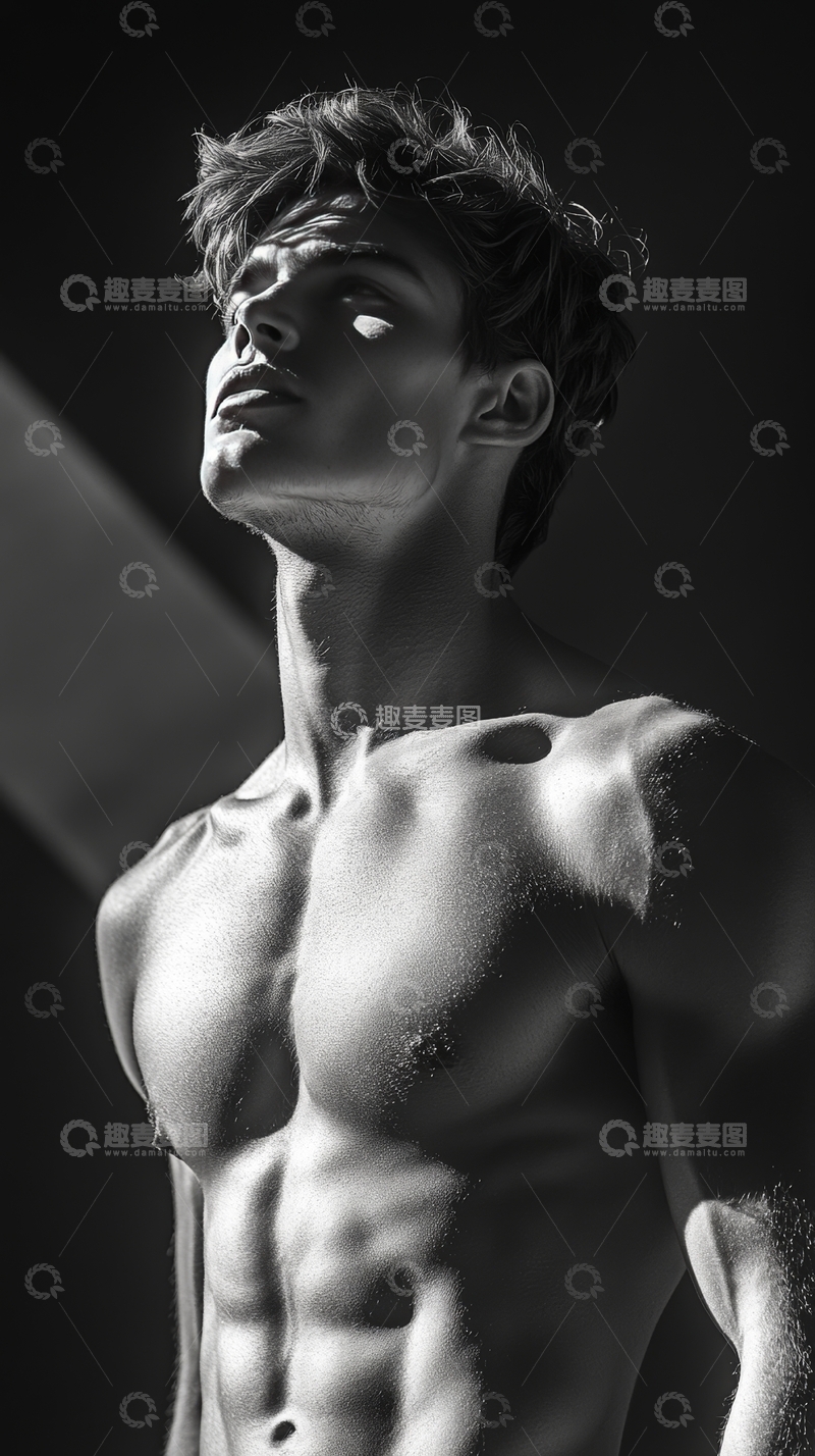 高清大图下载【趣麦麦图】黑白光影下的健美男性上半身
