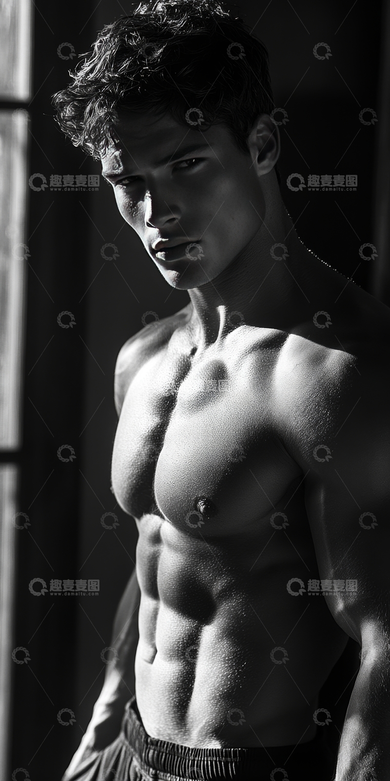 高清大图下载【趣麦麦图】黑白光影下的健美男性