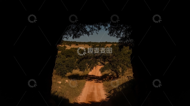 高清大图下载【趣麦麦图】林间小径，透过方形框架