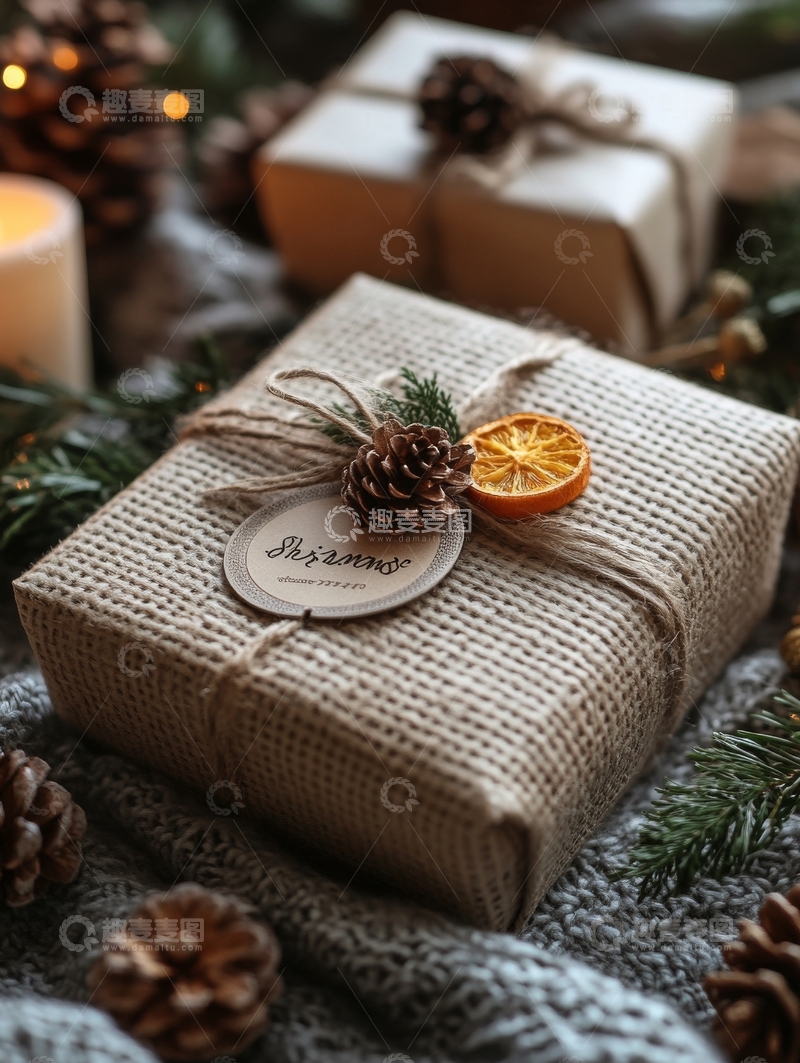 高清大图下载【趣麦麦图】圣诞礼物包装，松果与橙片装饰