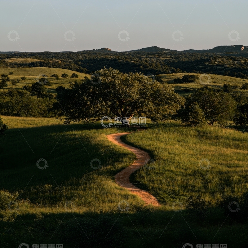 高清大图下载【趣麦麦图】蜿蜒小径穿过绿野与树荫