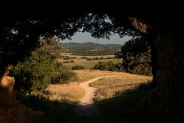 树荫下的乡村小径