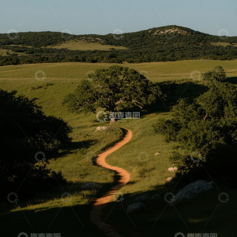 高清大图下载【趣麦麦图】蜿蜒小径穿越绿野