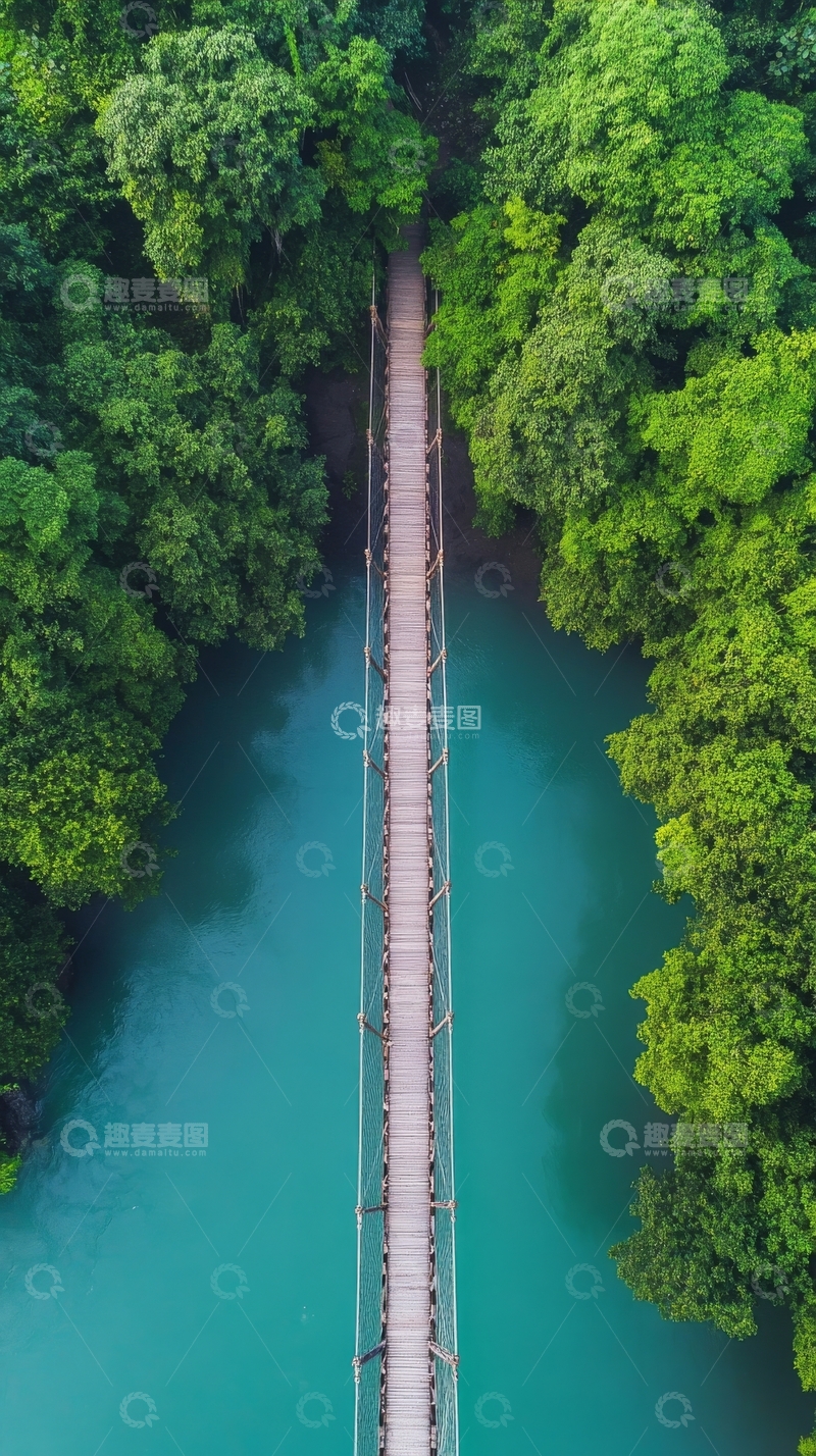 高清大图下载【趣麦麦图】空中俯瞰绿色森林中的桥梁