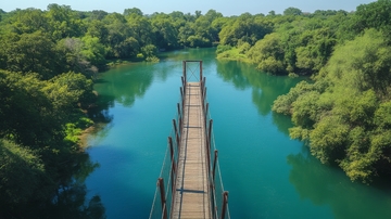 木桥横跨碧绿河流