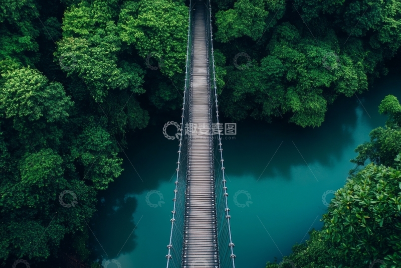 高清大图下载【趣麦麦图】森林上空的悬索桥