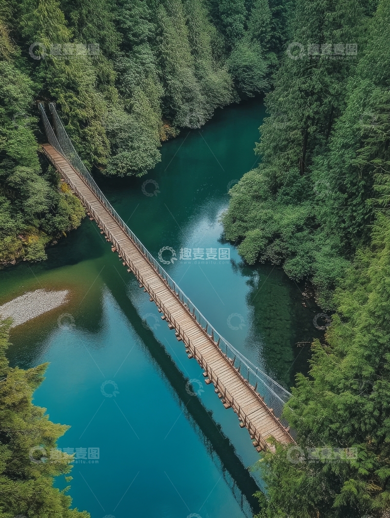 高清大图下载【趣麦麦图】-森林中的悬索桥