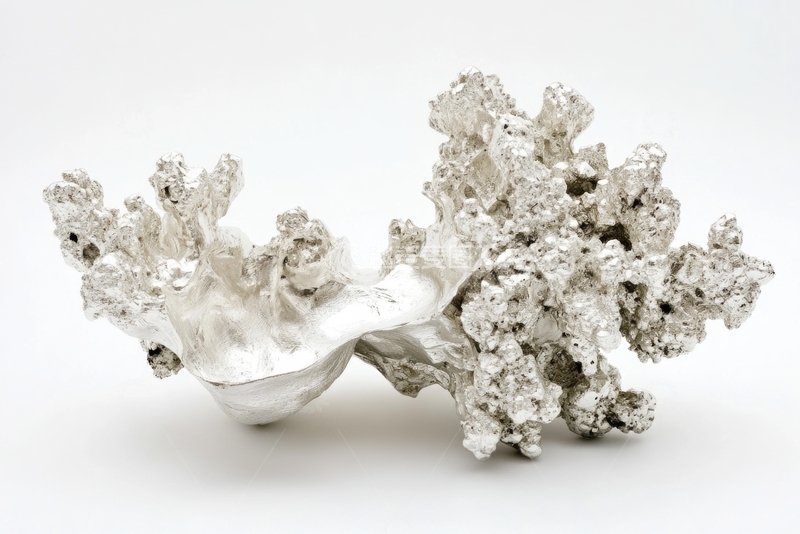 高清大图下载【趣麦麦图】银色珊瑚状雕塑