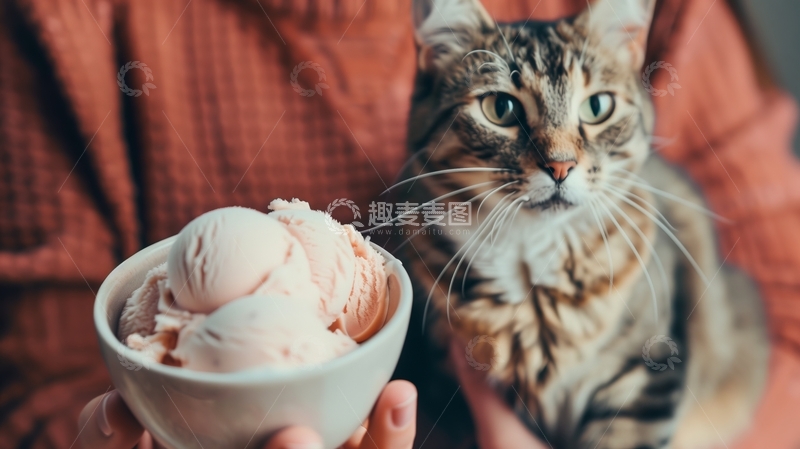 高清大图下载【趣麦麦图】猫咪注视着冰淇淋碗