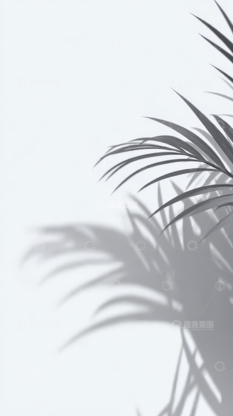 高清大图下载【趣麦麦图】光影交错的植物叶片