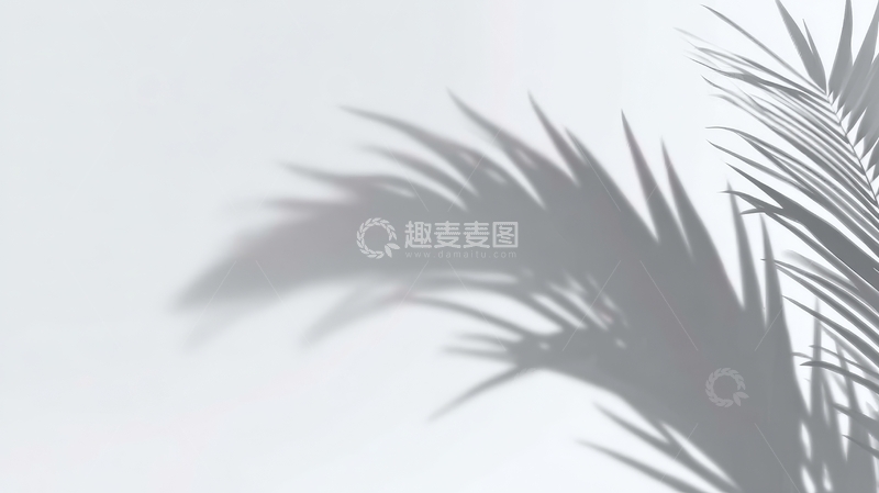 高清大图下载【趣麦麦图】光影交错的棕榈叶剪影