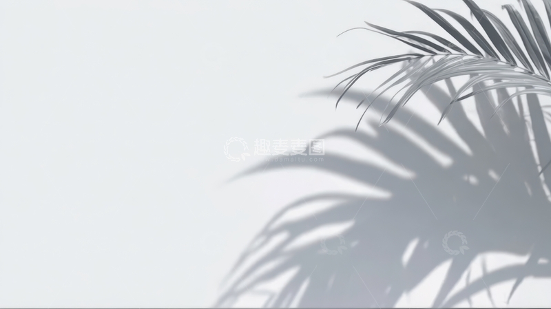 高清大图下载【趣麦麦图】光影交错的棕榈叶剪影