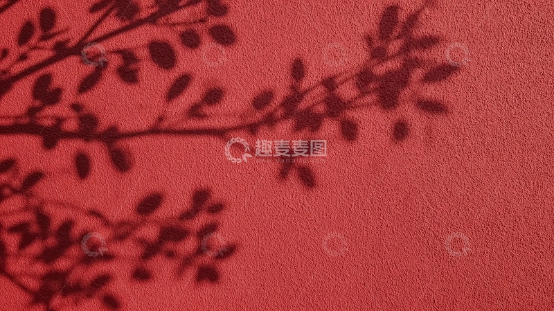 高清大图下载【趣麦麦图】红色背景上的树枝阴影