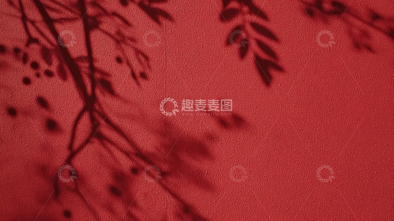 高清大图下载【趣麦麦图】红色背景上的植物阴影