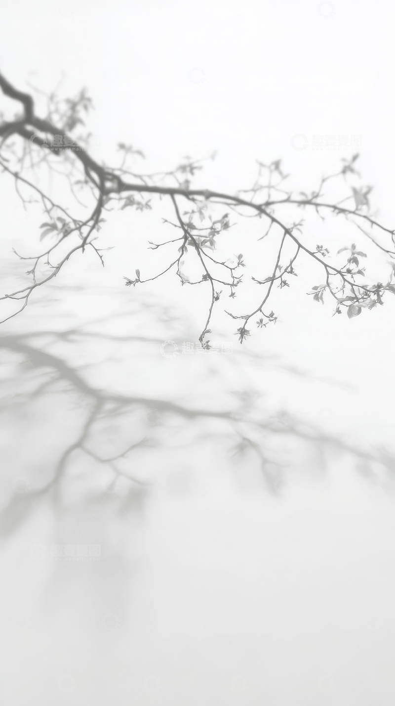 高清大图下载【趣麦麦图】雾中枝影，朦胧自然之美