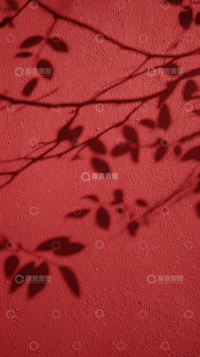 高清大图下载【趣麦麦图】红色墙面上的树叶阴影