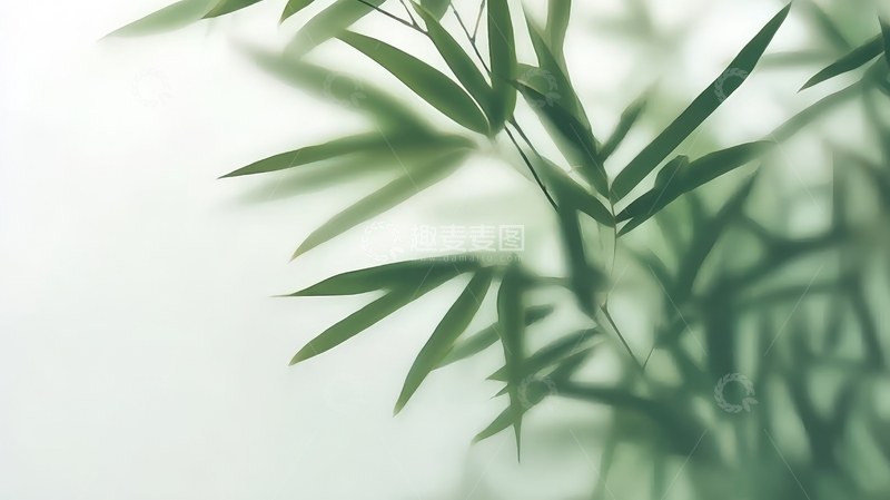 高清大图下载【趣麦麦图】竹叶轻舞，光影交错的自然之美