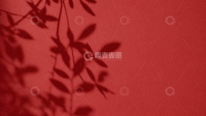 高清大图下载【趣麦麦图】红色背景上的树叶阴影