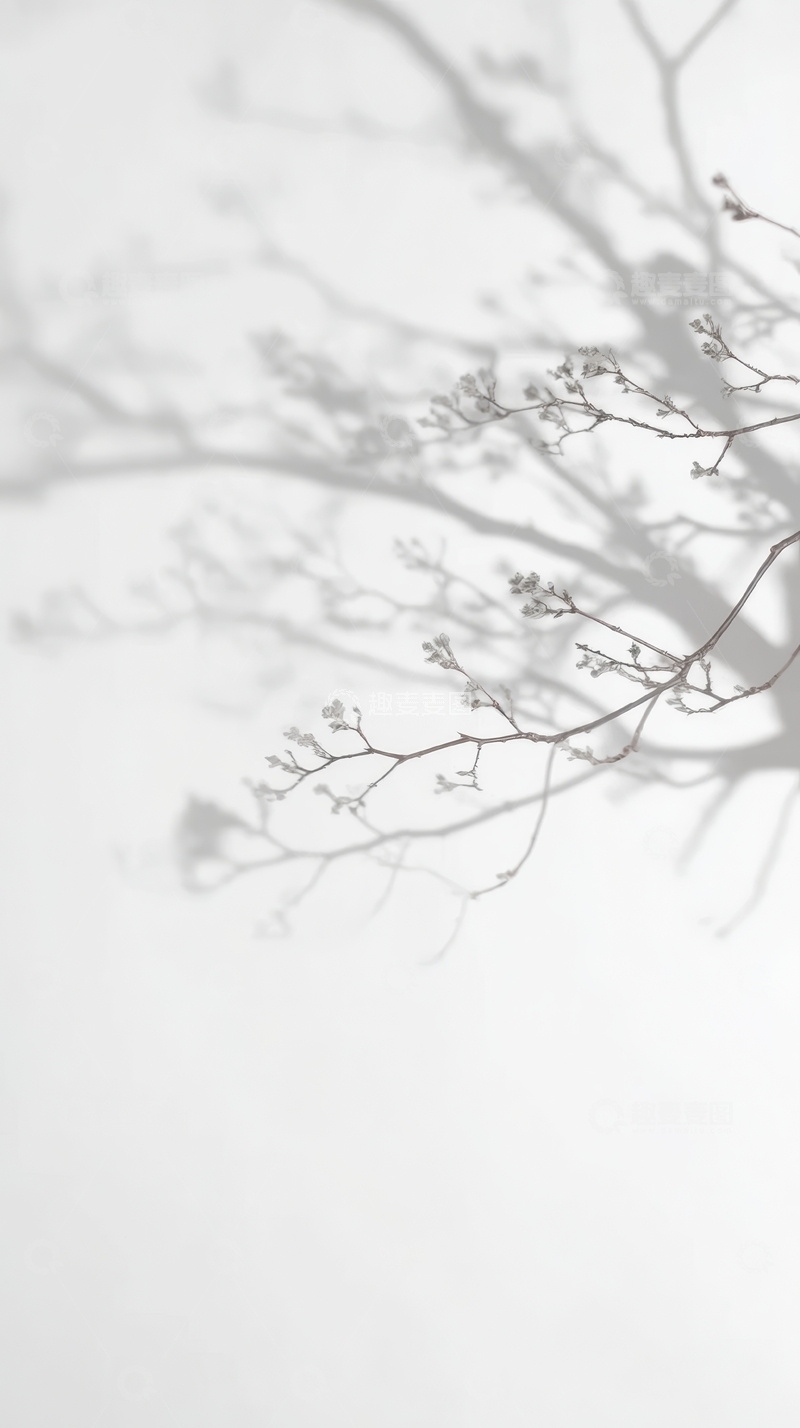 高清大图下载【趣麦麦图】雾中枝影，朦胧静谧