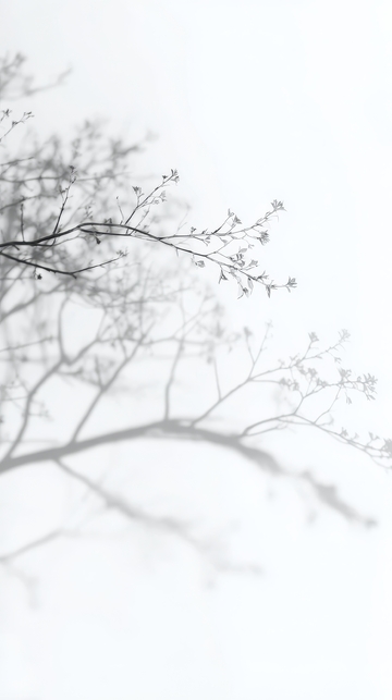 朦胧枝影，初绽花蕾