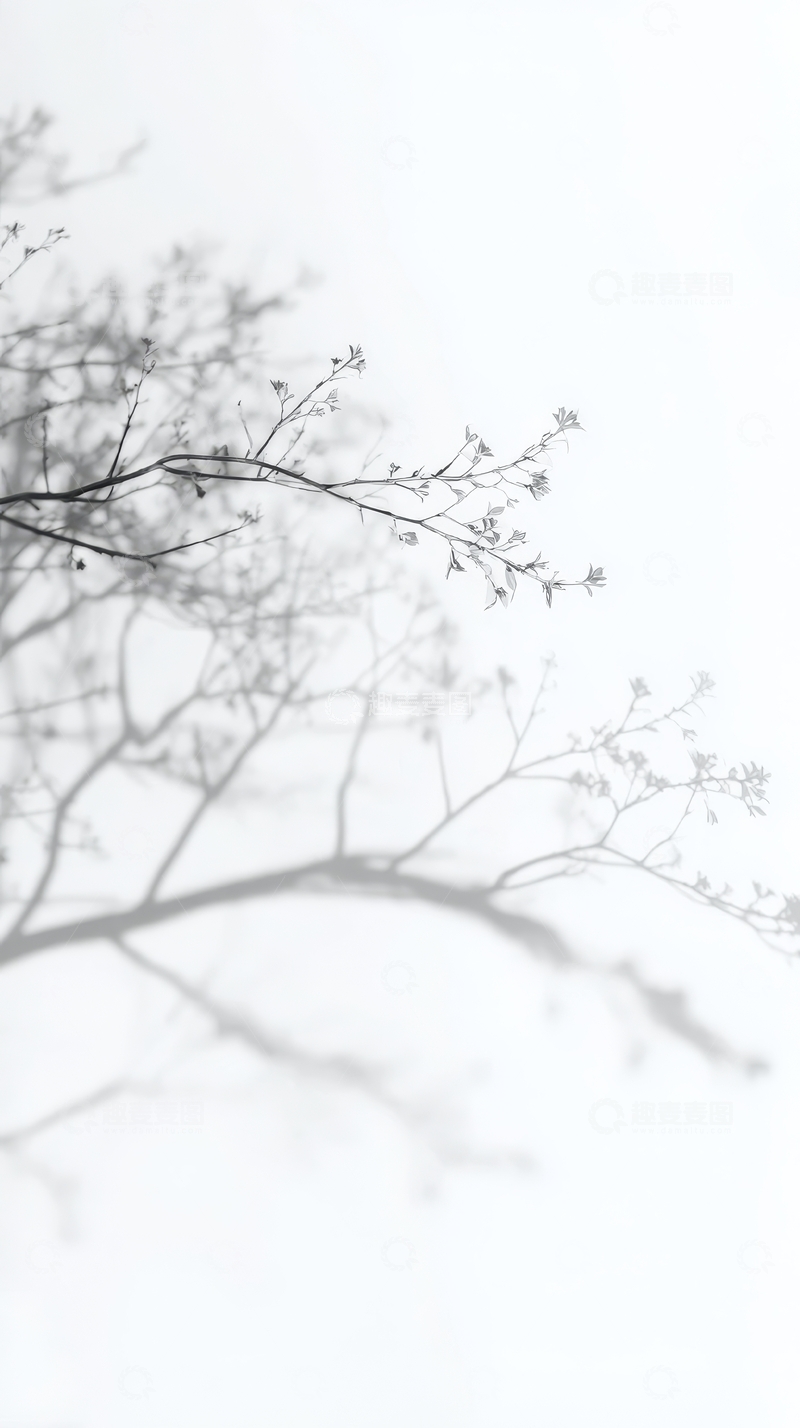 高清大图下载【趣麦麦图】朦胧枝影，初绽花蕾