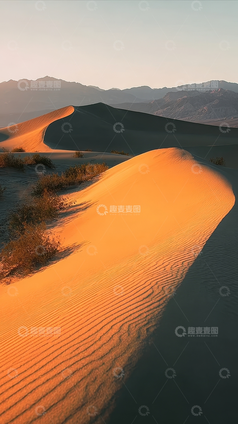 高清大图下载【趣麦麦图】金色沙漠沙丘在夕阳下的美景