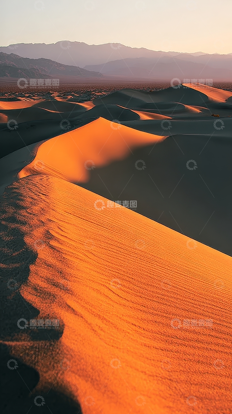 高清大图下载【趣麦麦图】夕阳下的金色沙丘