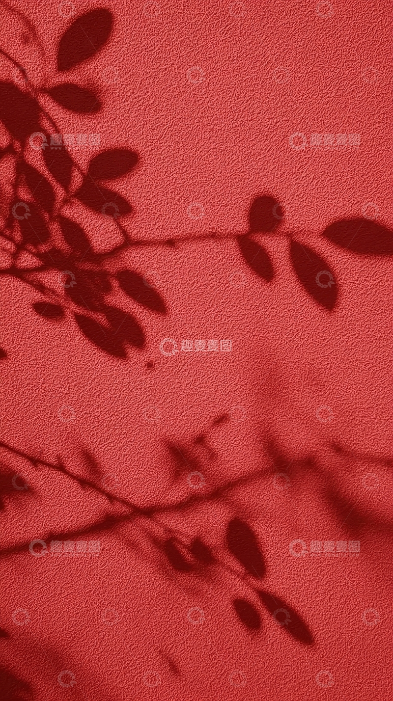高清大图下载【趣麦麦图】红色背景上的树叶阴影