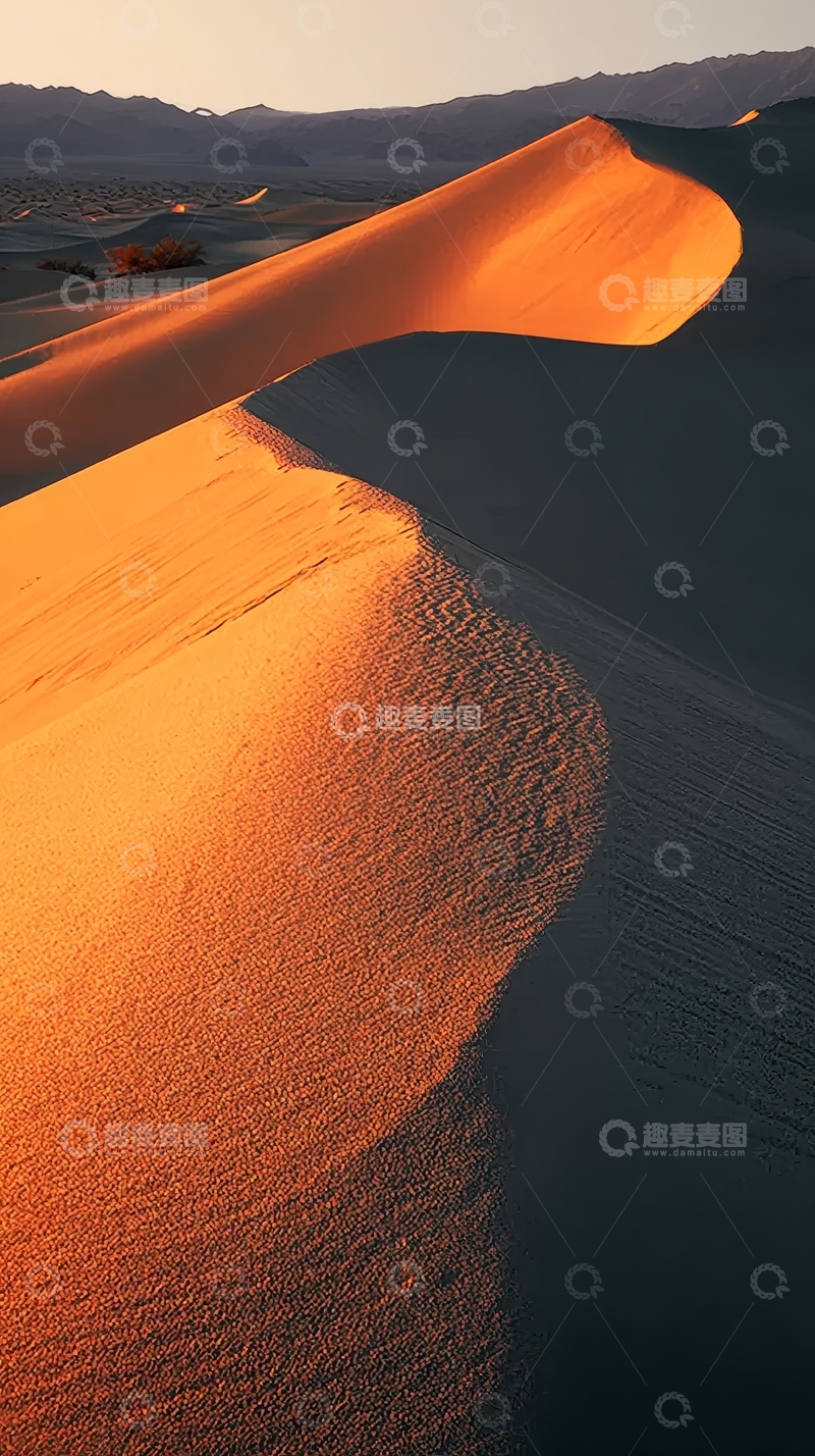 高清大图下载【趣麦麦图】夕阳下的金色沙丘