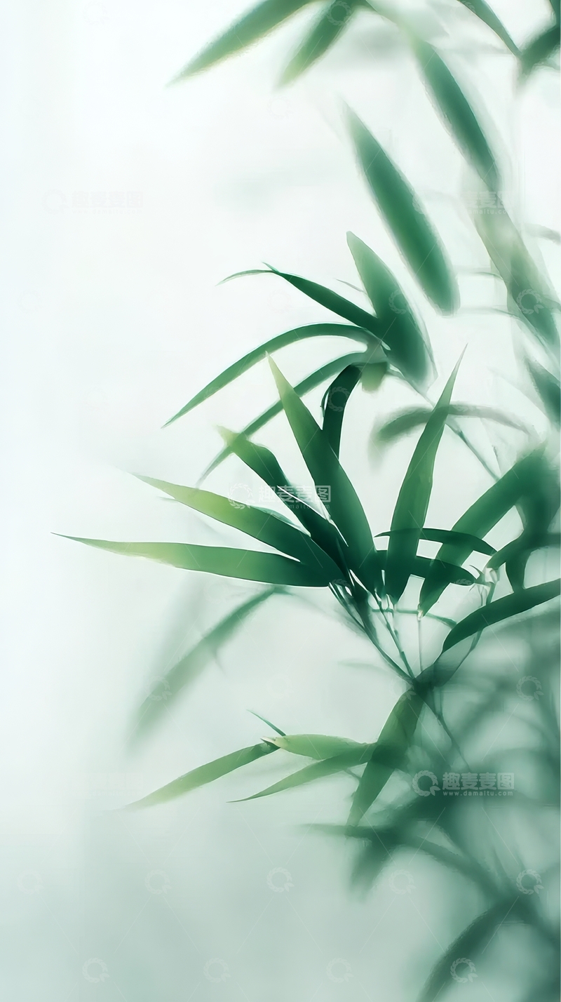 高清大图下载【趣麦麦图】竹叶轻舞，朦胧绿意