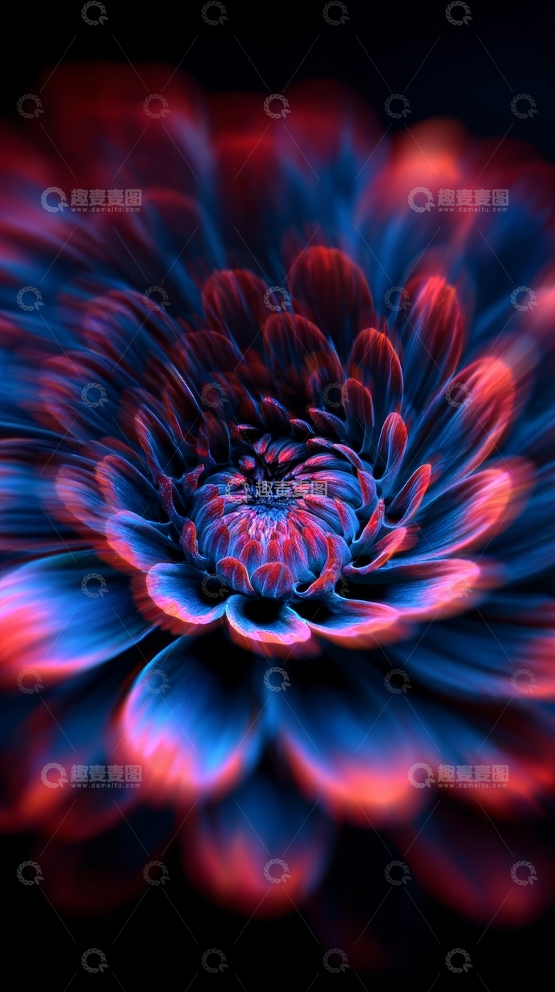 高清大图下载【趣麦麦图】霓虹色彩的花朵特写