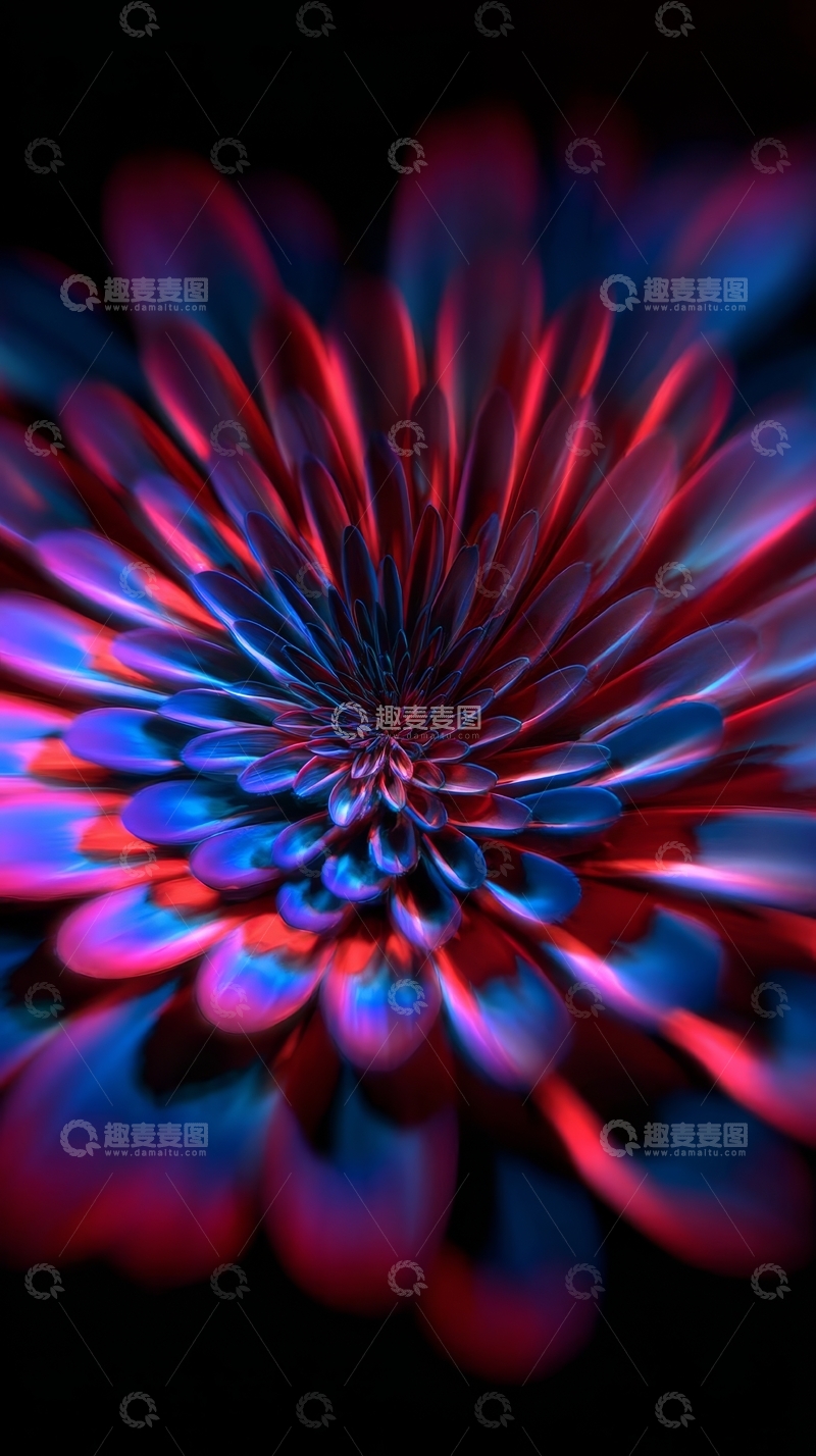 高清大图下载【趣麦麦图】霓虹色彩的花朵特写