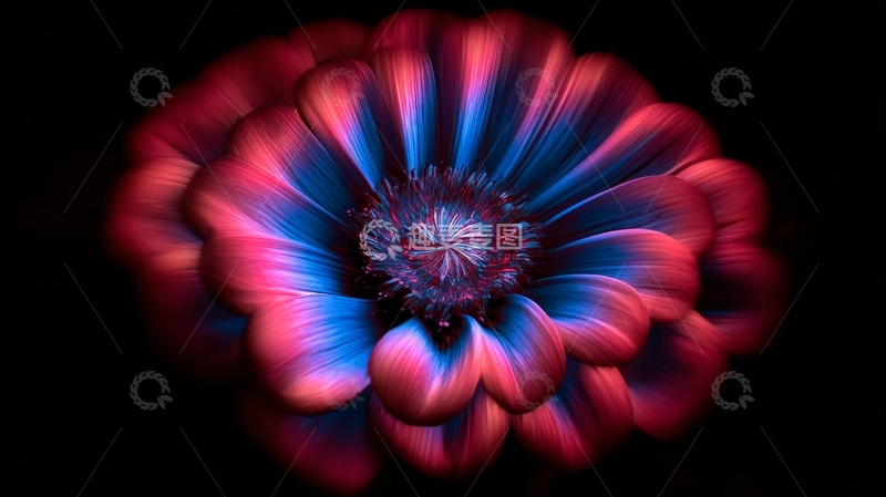 高清大图下载【趣麦麦图】霓虹色彩的抽象花朵