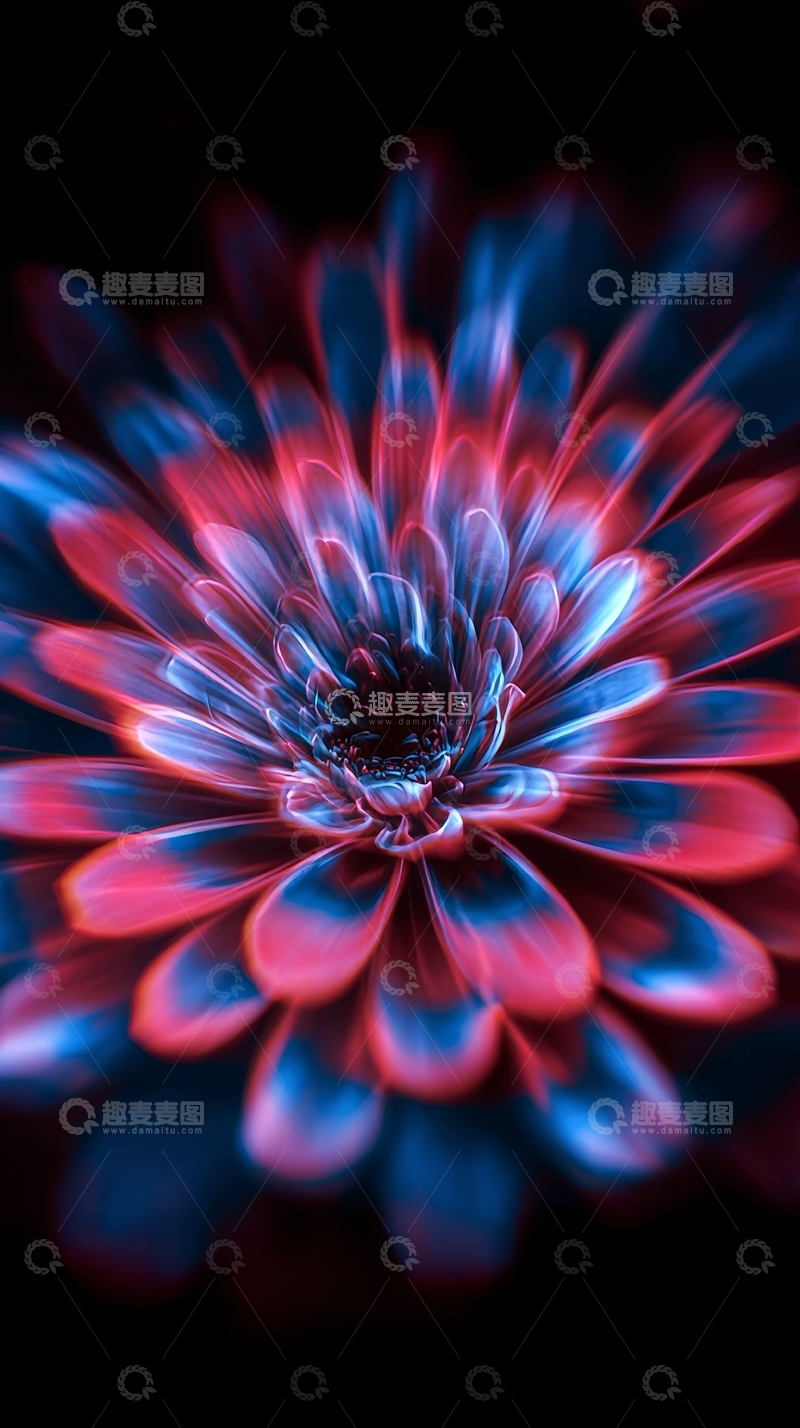 高清大图下载【趣麦麦图】霓虹色彩的花朵特写