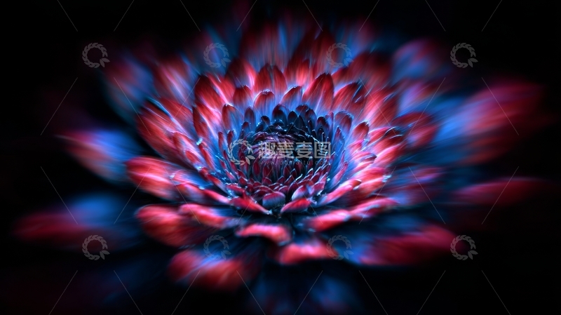 高清大图下载【趣麦麦图】炫彩花瓣的抽象艺术图