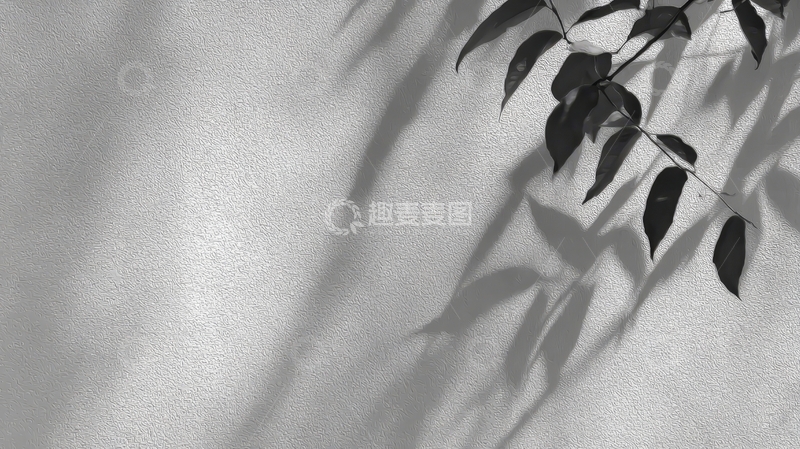 高清大图下载【趣麦麦图】枝叶阴影投射在墙面上